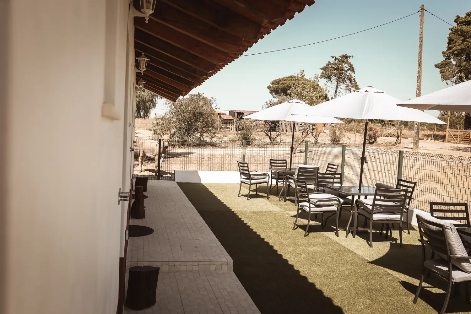 Quinta das Caçadoras · the farm 5