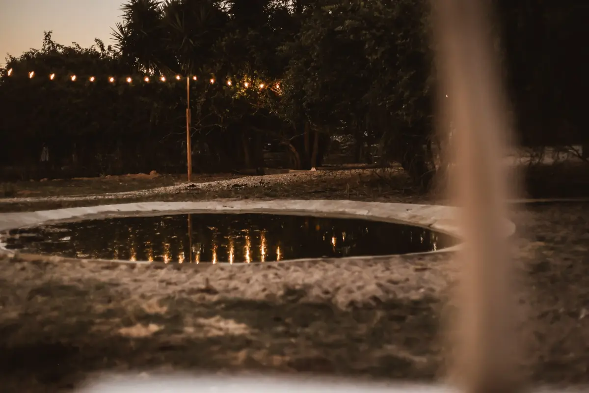 Quinta das Caçadoras, Palmela · photo 14