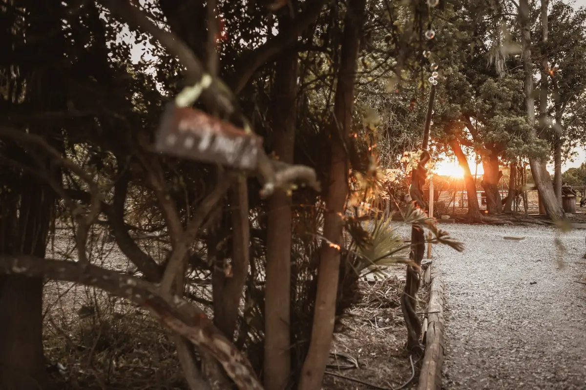 Quinta das Caçadoras, Palmela · foto 19
