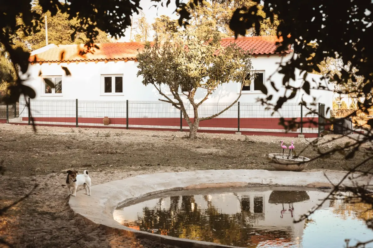 Quinta das Caçadoras, Palmela · foto 24