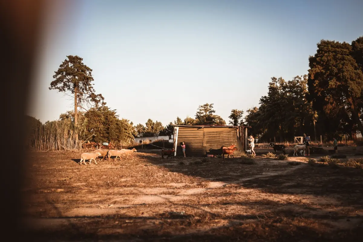 Quinta das Caçadoras, Palmela · foto 25
