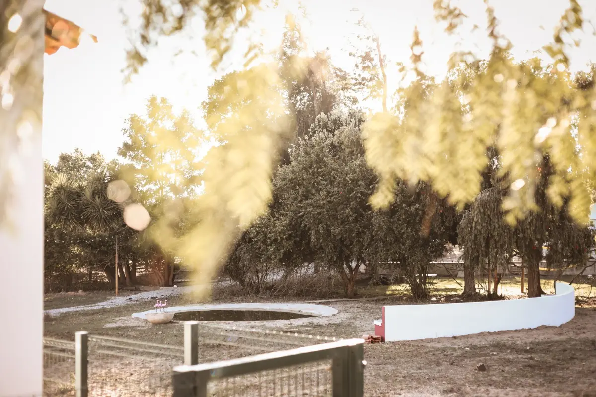 Quinta das Caçadoras, Palmela · foto 20