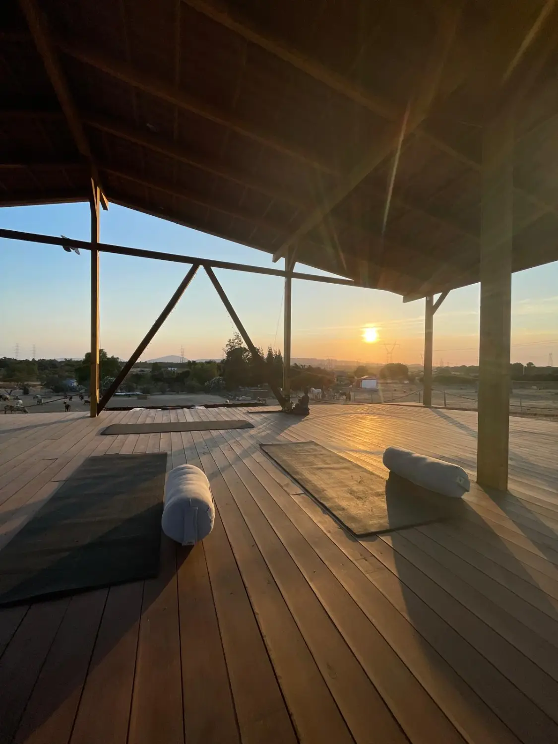 Yoga in nature